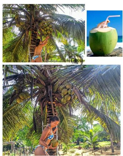a woman in a bikini standing under a palm tree at Beach Bungalow Yala in Kirinda