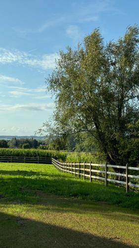 una cerca blanca en un campo junto a un árbol en Origine Tiny House, en Frasnes-lez-Anvaing