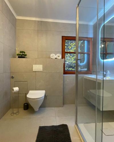 a bathroom with a toilet and a glass shower at ZSUZSI-LAK in Sub Cetate