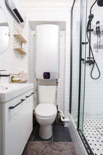 une salle de bain blanche avec toilettes et douche dans l'établissement Cosy Flat 30m2 Paris Centre, à Paris