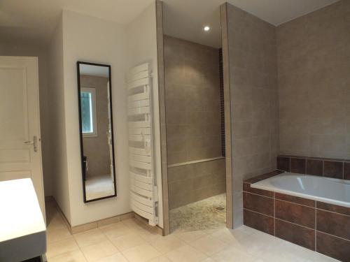une salle de bain avec une baignoire, un lavabo et un miroir dans l'établissement Le MAS DISON, à Euzet