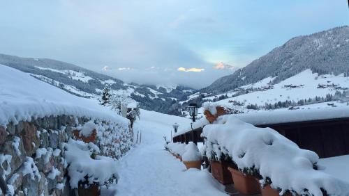 a snow covered path with snow covered bushes and mountains at Bergwald Appartements Alpbach in Alpbach