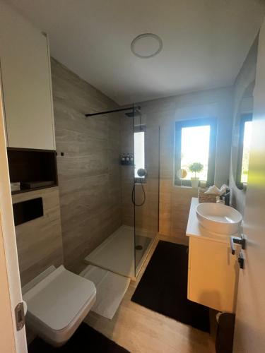 a bathroom with a shower and a toilet and a sink at Apartman Ingrid in Zaprešić