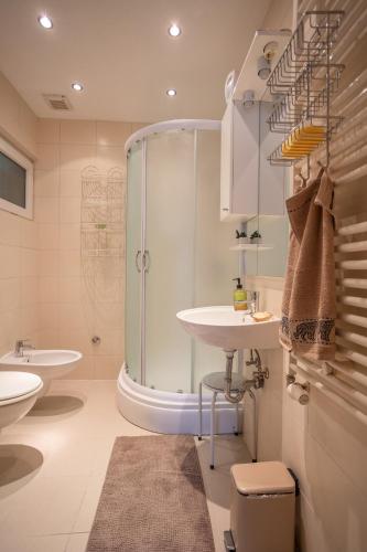 a bathroom with a shower and a sink at Apartman Park in Slavonski Brod
