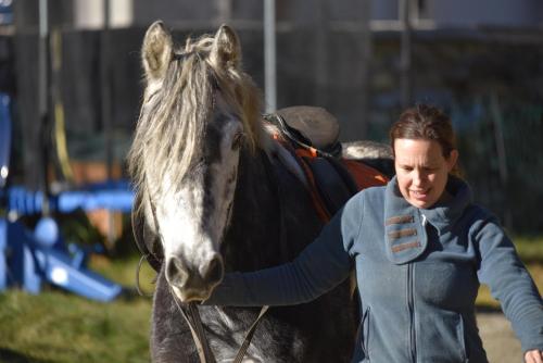 a woman is petting a horse at Obenfigerhof in Kals am Großglockner