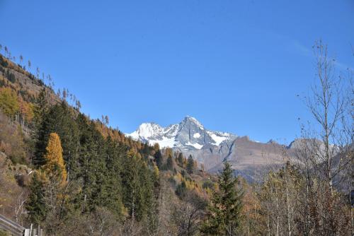 a snow covered mountain in the middle of a forest at Obenfigerhof in Kals am Großglockner