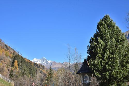 a clock tower in front of a pine tree at Obenfigerhof in Kals am Großglockner