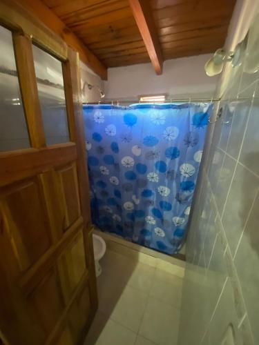 a shower with a blue curtain in a bathroom at Virgen Del Valle Alojamiento in Tafí del Valle