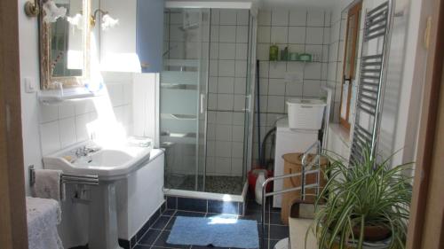 une salle de bain avec une douche, un lavabo et des toilettes dans l'établissement Maison sans mitoyenneté 760 m d'altitude pour 6 personnes sur grand terrain non clos, à Massat