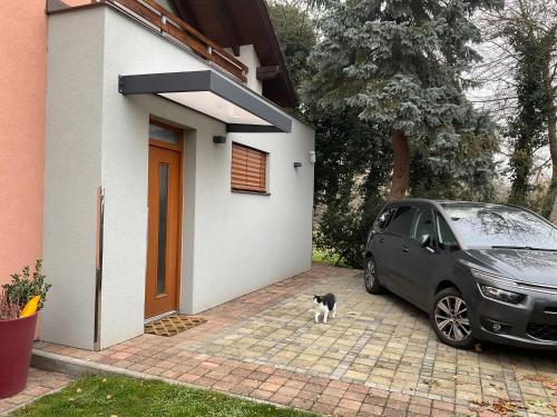 a cat is standing next to a car in front of a house at Apartmán u lesa Nové Jirny in Nové Jirny