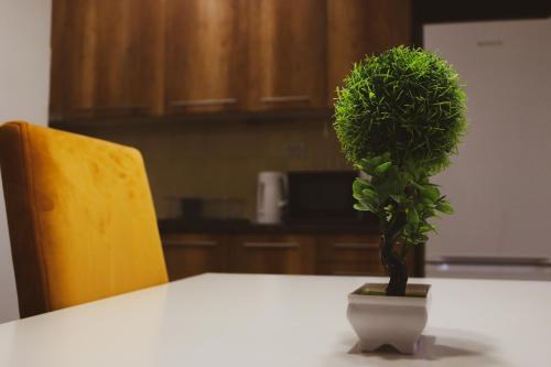 una pequeña planta verde en un jarrón sobre una mesa en S Apartment, en Skopje