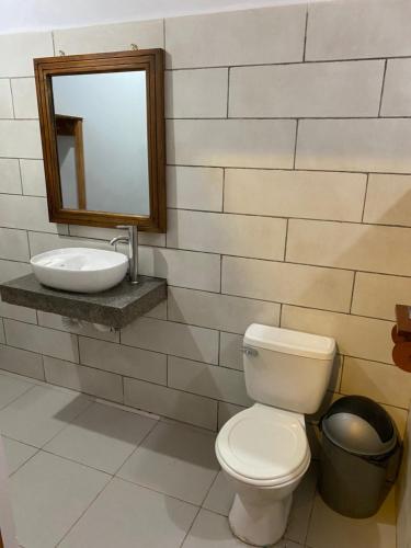 a bathroom with a toilet and a sink and a mirror at Hotel Restaurante Los Cocos in Santa Cruz