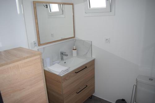une salle de bain avec un lavabo et un miroir dans l'établissement Gîte de la Chicorée, à Saint-Folquin