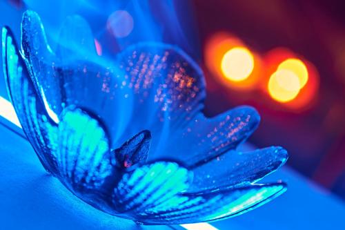 a blue flower with water droplets on it at Aleksandr in Brindisi