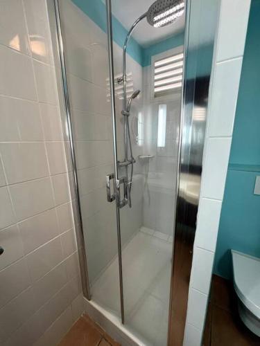 a shower with a glass door in a bathroom at Passion Caraïbe in Sainte-Luce