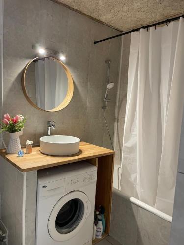 une salle de bain avec une machine à laver et un lavabo dans l'établissement Studio cosy à 300m de la mer, tout à pied, au Barcarès