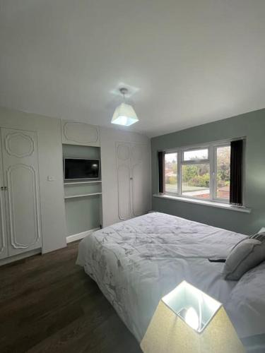 House 246 photo 8
