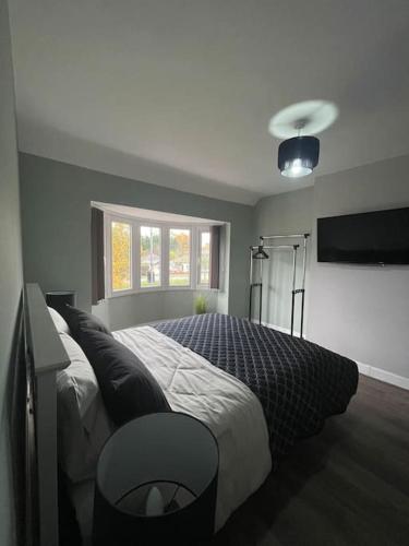 House 246 photo 11