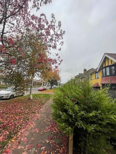 House 246 photo 27