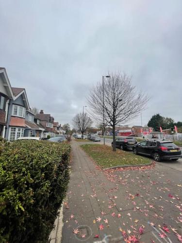 House 246 photo 29