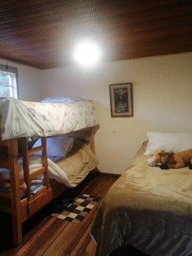 a bedroom with a bunk bed with a dog laying on it at La pradera in Subachoque