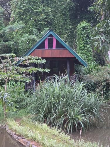 a small house with a pink window in a garden at Sinharaja Forest Edge in Deniyaya
