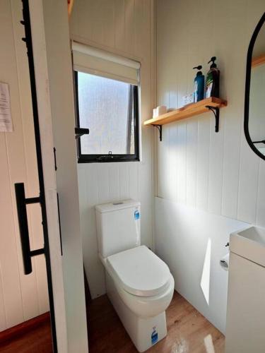a small bathroom with a toilet and a window at Braemar Bay Holiday Park in Kyloe