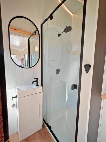 a bathroom with a shower and a sink and a mirror at Braemar Bay Holiday Park in Kyloe