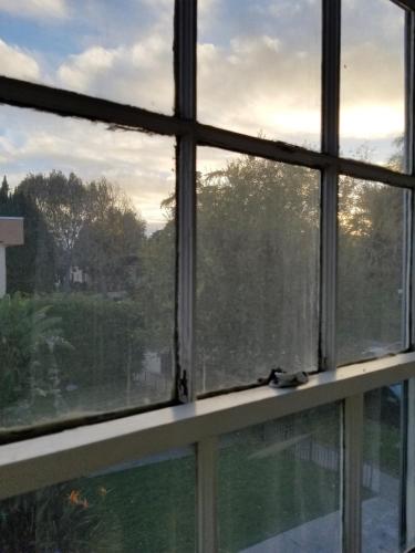 an open window with a view of a garden at Bargain Beverly Hills 3 Bedroom in great area 5 minutes to Rodeo Drive in Los Angeles