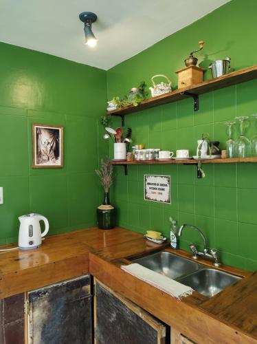 eine Küche mit Spüle und einer grünen Wand in der Unterkunft Hostel Yatel in El Calafate