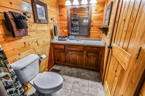 a bathroom with a toilet and a sink in a cabin at Extravagant View Cabin in Park Settlement