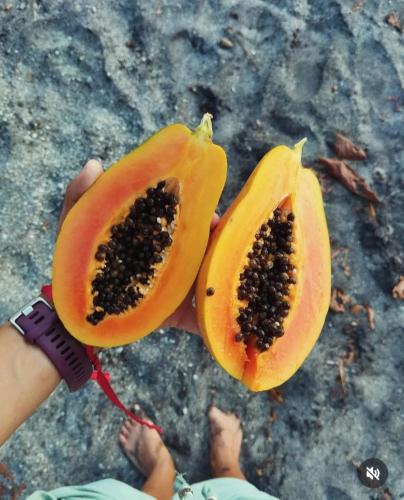 a person holding a papaya cut in half at Nanku Nimbu Casa-Bus equipada cerca de playas in Sámara