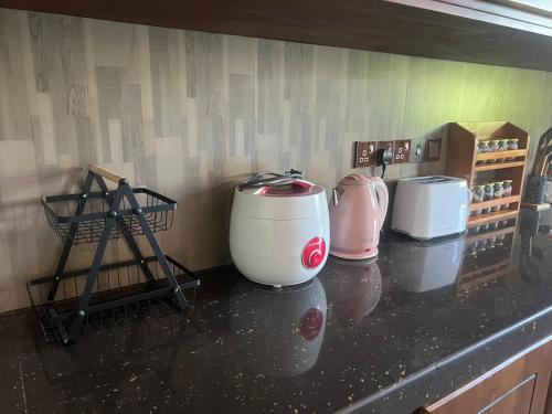 a kitchen counter with two appliances on a counter top at Birds Nest 2 in Bandaramulla