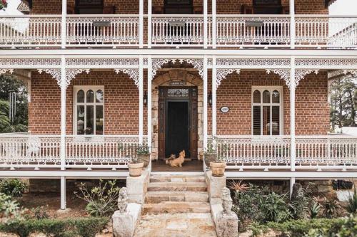 a dog sitting in the doorway of a brick house at Currawong House in Maleny