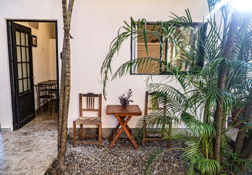 Κήπος έξω από το Akali House