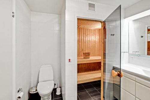 a bathroom with a toilet and a sink at Beautiful Two Story Apartment With Panoramic Views Of Ebeltoft Bay in Ebeltoft