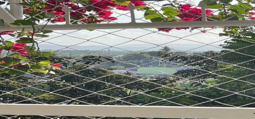 a view of a city from a window with pink flowers at RedDoorz at S & L Apartelle Daraga Albay in Legazpi