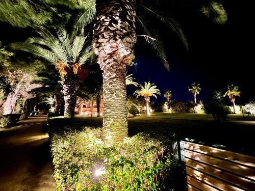a palm tree in a park at night at Villa Pami in Almiros Beach