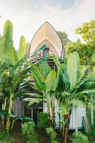 Taman di luar Panorama Glamping