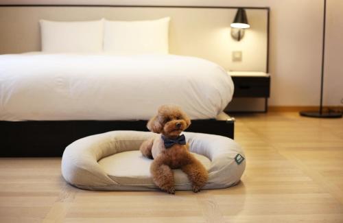 a teddy bear sitting in a round bed in a bedroom at Maison Glad Jeju in Jeju
