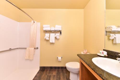 a bathroom with a sink and a toilet and a shower at Fremont Inn in Lakeview