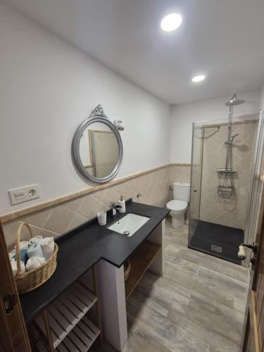 a bathroom with a sink and a mirror and a shower at Casa Rural Rincón in El Cabaco