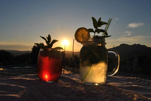 Gallery image of Pasare Glamping_AnglonaRuralExperience in Perfugas