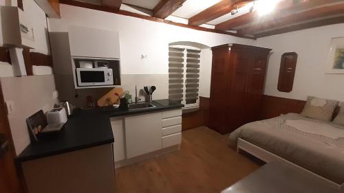 Il comprend une chambre avec un lit et une cuisine équipée d'un four micro-ondes. dans l'établissement Appartement VAUBAN, à Colmar