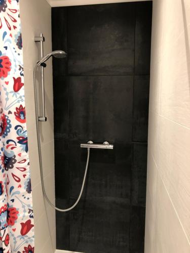 La salle de bains est pourvue d'une douche et d'un mur noir. dans l'établissement Maison de centre-ville au calme avec jardin et parkings, à Caen