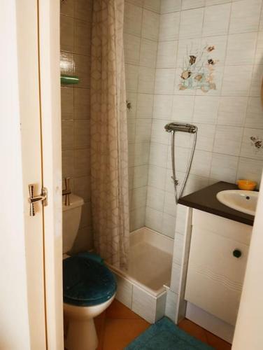 une salle de bain avec toilettes, douche et lavabo dans l'établissement Maison de village calme pour amoureux du vélo, à Bédoin