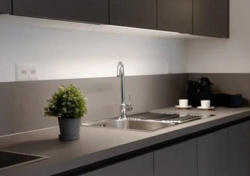 a kitchen with a sink and a potted plant on the counter at Urban Residence by Quokka 360 - Apartments with parking in Lugano in Aldesago