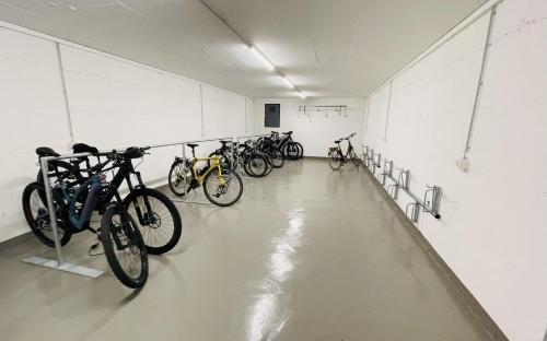 Brentschpark Wohnung C 96