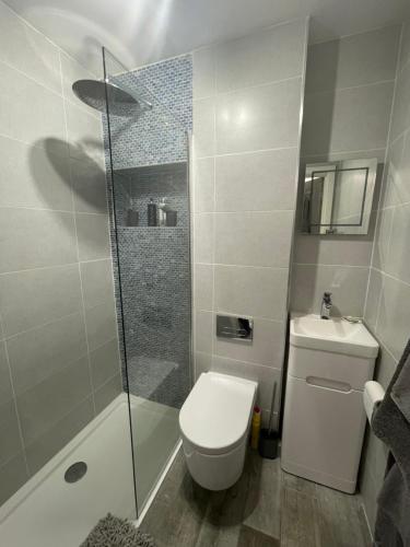 a bathroom with a shower and a toilet and a sink at Saorsa House Culross in Fife