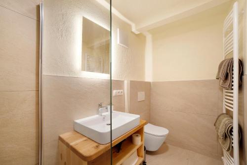 a bathroom with a sink and a toilet at Hauserhof in Lagundo